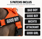 Pack Promenade Anti-Traction Milo Paws - Attache 1 Clic, Double Anneau Frontal & Dorsal