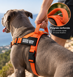 Pack Promenade Anti-Traction Milo Paws - Attache 1 Clic, Double Anneau Frontal & Dorsal