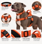 Pack Promenade Anti-Traction Milo Paws - Attache 1 Clic, Double Anneau Frontal & Dorsal