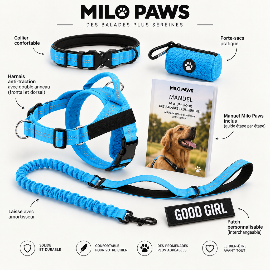 Pack Promenade Anti-Traction Milo Paws - Attache 1 Clic, Double Anneau Frontal & Dorsal