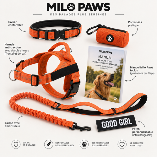 Pack Promenade Anti-Traction Milo Paws - Attache 1 Clic, Double Anneau Frontal & Dorsal