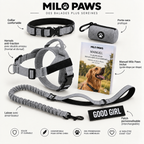 Pack Promenade Anti-Traction Milo Paws - Attache 1 Clic, Double Anneau Frontal & Dorsal