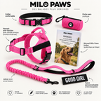 Pack Promenade Anti-Traction Milo Paws - Attache 1 Clic, Double Anneau Frontal & Dorsal