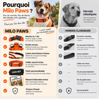 Pack Promenade Anti-Traction Milo Paws - Attache 1 Clic, Double Anneau Frontal & Dorsal