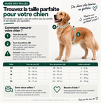 Pack Promenade Anti-Traction Milo Paws - Attache 1 Clic, Double Anneau Frontal & Dorsal